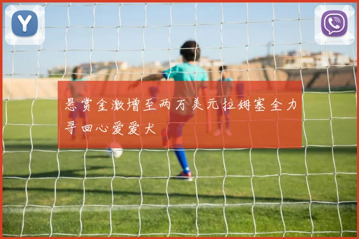 悬赏金激增至两万美元拉姆塞全力寻回心爱爱犬