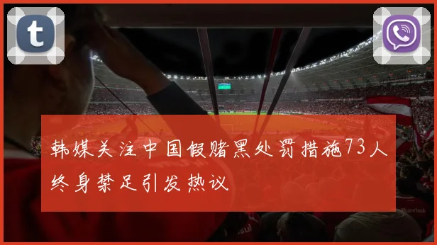 韩媒关注中国假赌黑处罚措施73人终身禁足引发热议