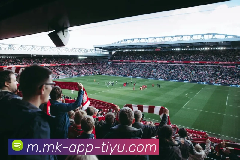 MK体育平台生态图