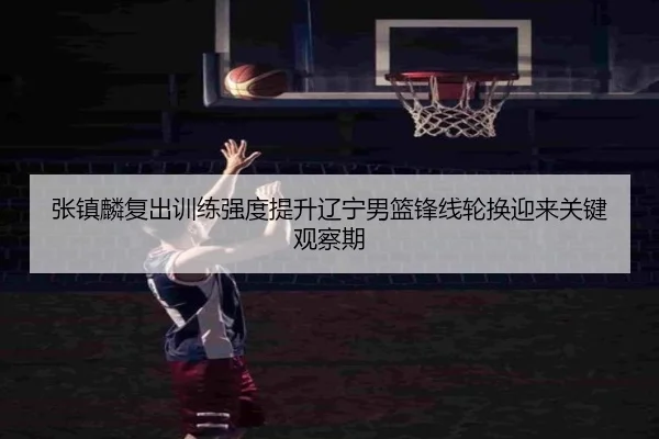 张镇麟复出训练强度提升辽宁男篮锋线轮换迎来关键观察期 | MKSPORTS